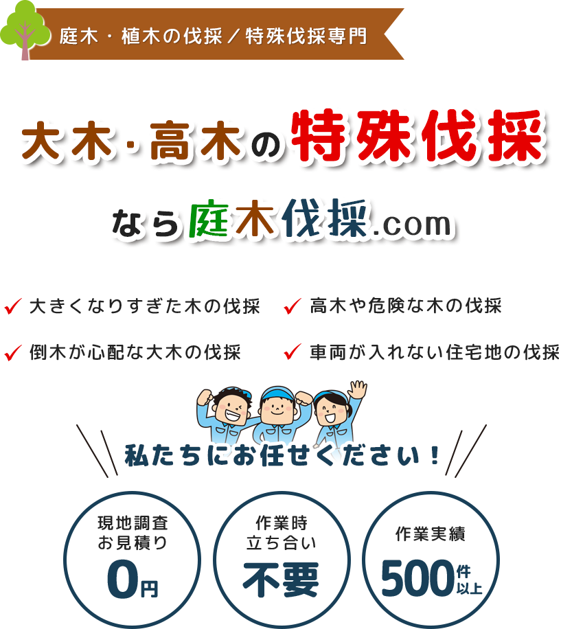 特殊伐採について | 庭木・植木の伐採・撤去 / 高木・危険木の特殊伐採