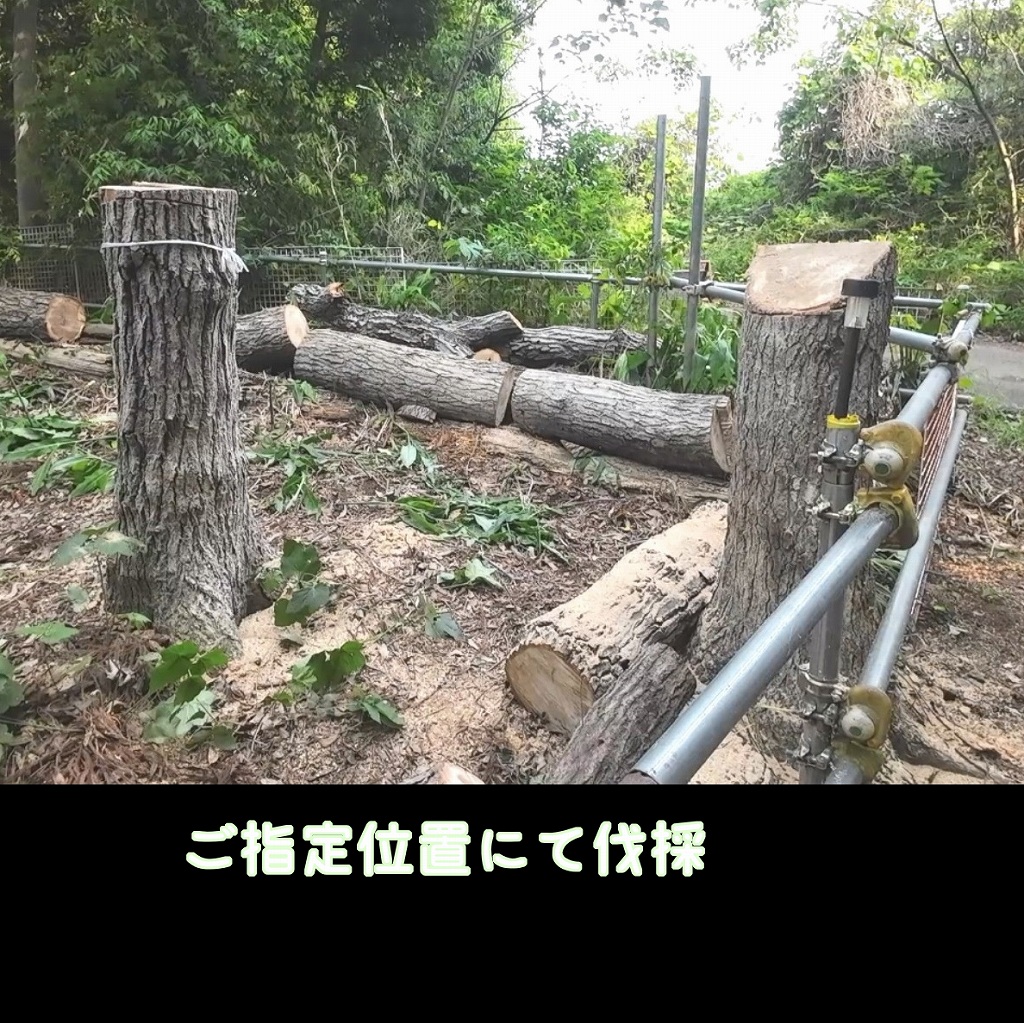 作業完了後の写真