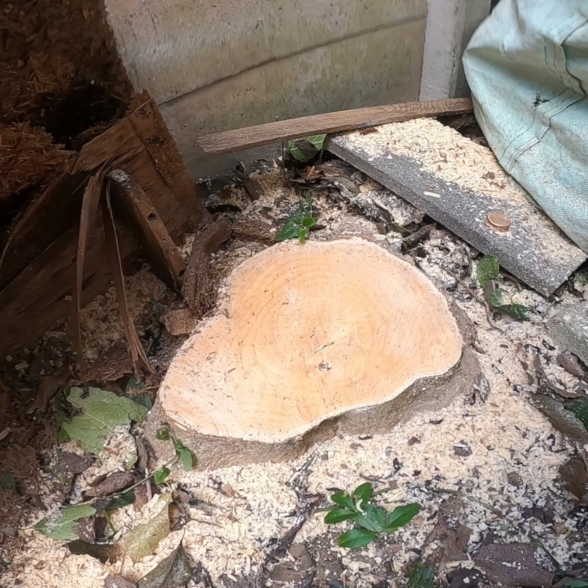 作業完了後の写真