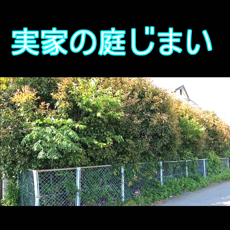 作業前の写真
