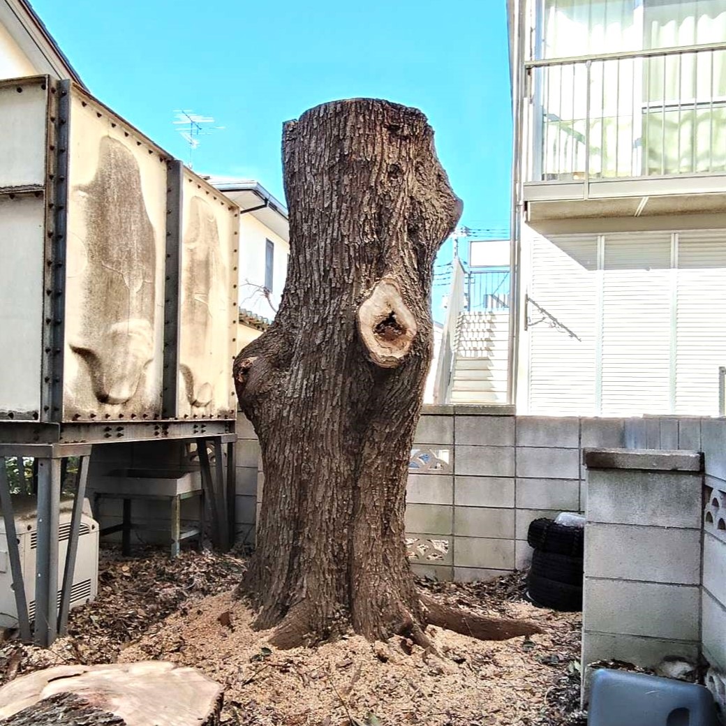 作業完了後の写真